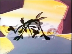 کایوت و رودرانر (فصل 1 - قسمت 14)